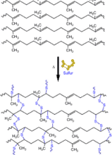 Sulfur crosslinking between rubber chains